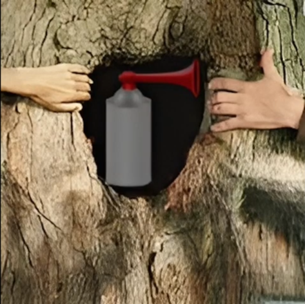 Dosya:Teykidiz - KORNA.png